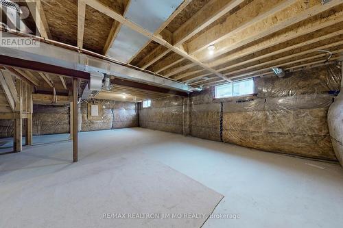 9 Goodwin Court, East Gwillimbury, ON - Indoor Photo Showing Basement