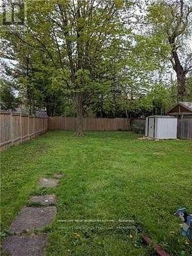 116 Estelle Avenue, Toronto, ON - Outdoor With Backyard