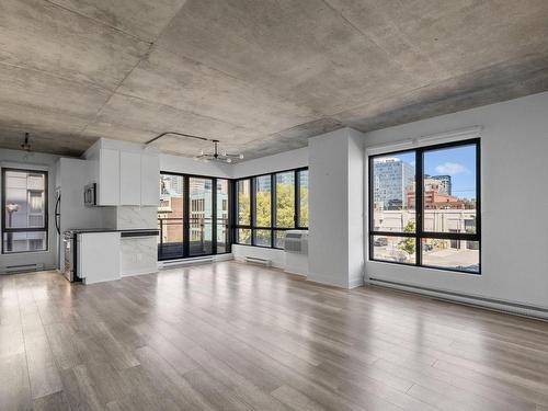 Vue d'ensemble - 315-400 Rue De L'Inspecteur, Montréal (Le Sud-Ouest), QC - Indoor Photo Showing Living Room