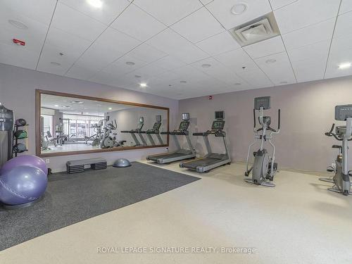 211-27 Rean Dr, Toronto, ON - Indoor Photo Showing Gym Room