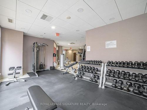 211-27 Rean Dr, Toronto, ON - Indoor Photo Showing Gym Room