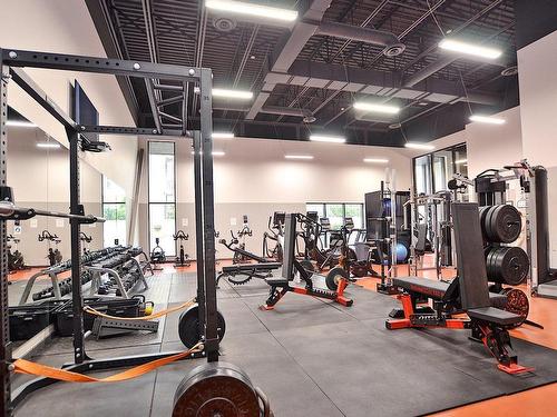 Salle d'exercice - 223-3700 Rue St-Antoine O., Montréal (Le Sud-Ouest), QC - Indoor Photo Showing Gym Room