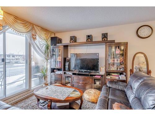 Living room - 212-10150 Place De L'Acadie, Montréal (Ahuntsic-Cartierville), QC - Indoor Photo Showing Living Room