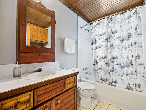 Bathroom - 2697 Route 323 N., Amherst, QC - Indoor Photo Showing Bathroom