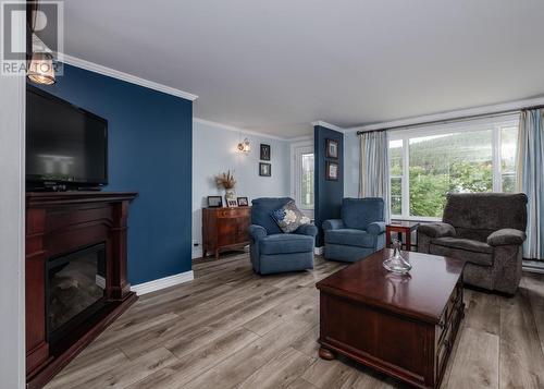 20 Brook Road, Freshwater Placentia, NL - Indoor Photo Showing Living Room With Fireplace