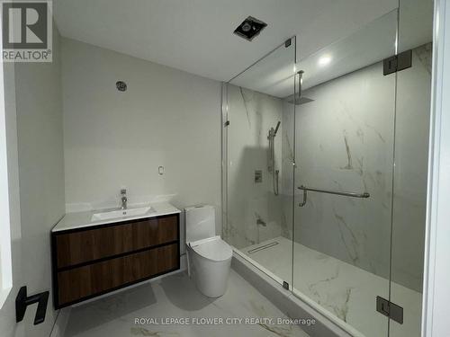 1264 St Marys Avenue, Mississauga, ON - Indoor Photo Showing Bathroom