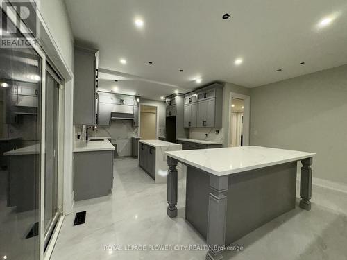 1264 St Marys Avenue, Mississauga, ON - Indoor Photo Showing Kitchen