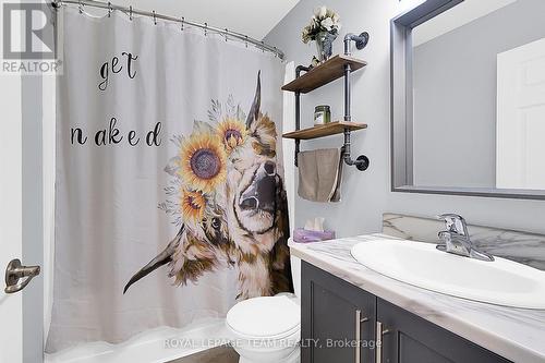 2968 Drew Drive, North Dundas, ON - Indoor Photo Showing Bathroom