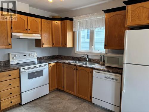 16 Royal Oak Drive, St. John'S, NL - Indoor Photo Showing Kitchen With Double Sink