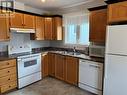 16 Royal Oak Drive, St. John'S, NL  - Indoor Photo Showing Kitchen With Double Sink 