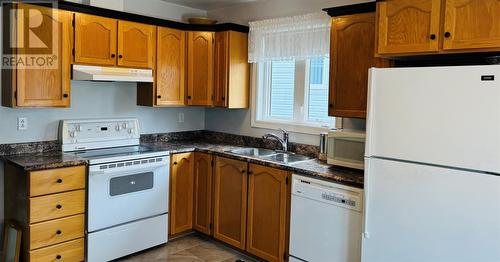 16 Royal Oak Drive, St. John'S, NL - Indoor Photo Showing Kitchen With Double Sink