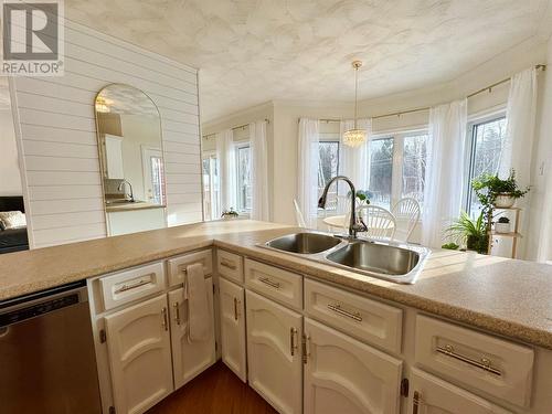 66 Harris Point Road, Harris Point, NL - Indoor Photo Showing Kitchen With Double Sink