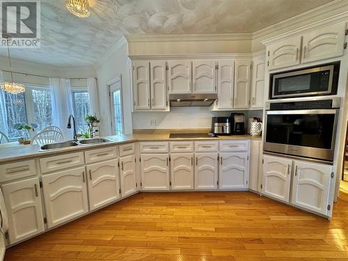 66 Harris Point Road, Harris Point, NL - Indoor Photo Showing Kitchen With Double Sink