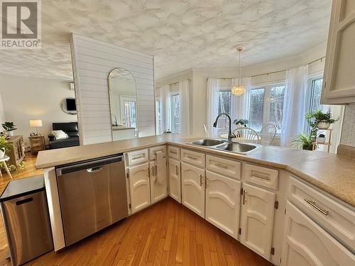 66 Harris Point Road, Harris Point, NL - Indoor Photo Showing Kitchen With Double Sink