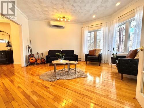 66 Harris Point Road, Harris Point, NL - Indoor Photo Showing Living Room