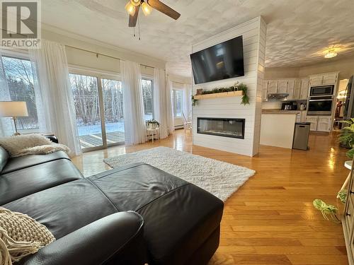 66 Harris Point Road, Harris Point, NL - Indoor Photo Showing Living Room With Fireplace