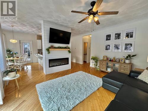 66 Harris Point Road, Harris Point, NL - Indoor Photo Showing Living Room With Fireplace