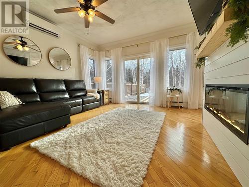 66 Harris Point Road, Harris Point, NL - Indoor Photo Showing Living Room With Fireplace