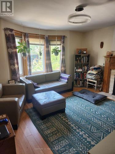 35 Columbine Avenue, Toronto, ON - Indoor Photo Showing Living Room