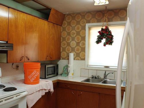 73 Carl Avenue, Thunder Bay, ON - Indoor Photo Showing Kitchen With Double Sink