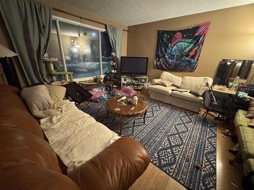 946 John Street, Thunder Bay, ON - Indoor Photo Showing Living Room