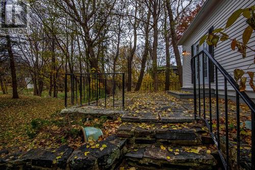 9 Winter Avenue, St. John'S, NL - Outdoor