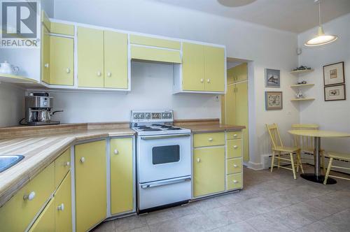 9 Winter Avenue, St. John'S, NL - Indoor Photo Showing Kitchen