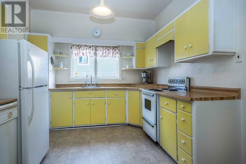 9 Winter Avenue, St. John'S, NL - Indoor Photo Showing Kitchen