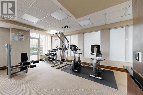 1502 - 1101 Leslie Street, Toronto, ON - Indoor Photo Showing Gym Room