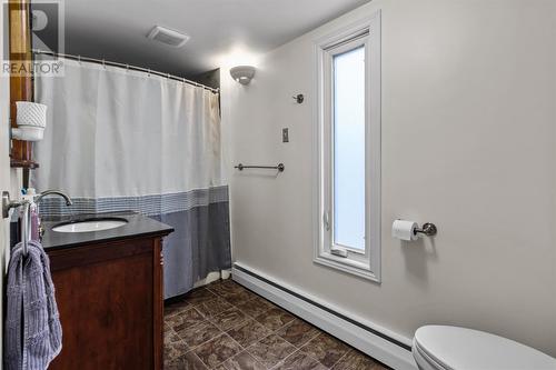 172 Main Road, Pouch Cove, NL - Indoor Photo Showing Bathroom