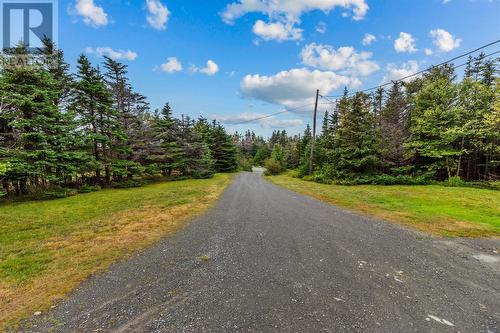 172 Main Road, Pouch Cove, NL - Outdoor With View