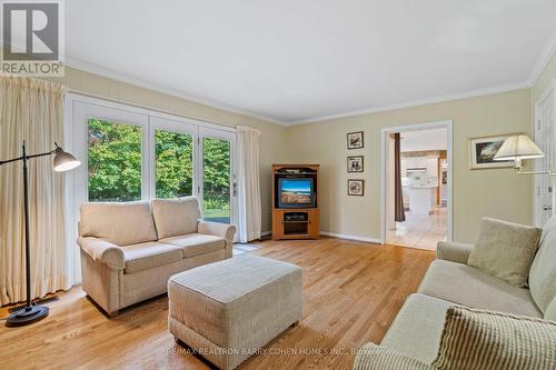 59 Montressor Drive, Toronto, ON - Indoor Photo Showing Living Room