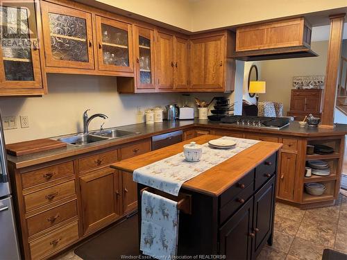 5080 Malden Road, Windsor, ON - Indoor Photo Showing Kitchen With Double Sink