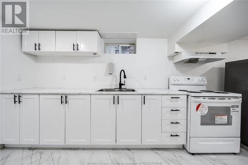 3302 Curry Avenue Unit# Lower, Windsor, ON - Indoor Photo Showing Kitchen With Double Sink