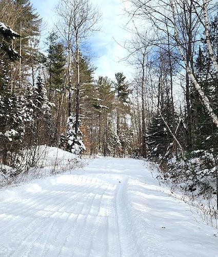 Land/Lot - Ch. Clément, Rawdon, QC 