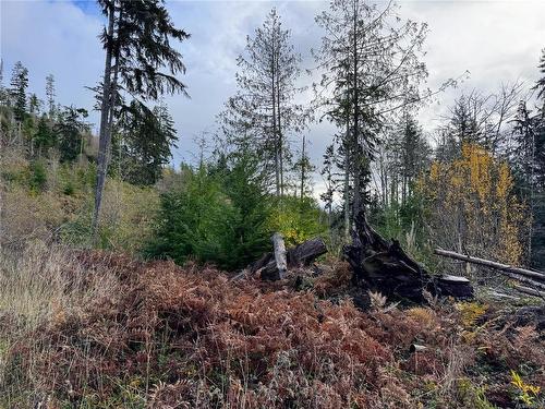 Lot 18 Clark Rd, Sooke, BC 