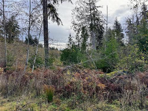 Lot 18 Clark Rd, Sooke, BC 