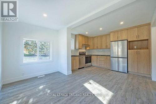 241 Ridout Street S, London, ON - Indoor Photo Showing Kitchen