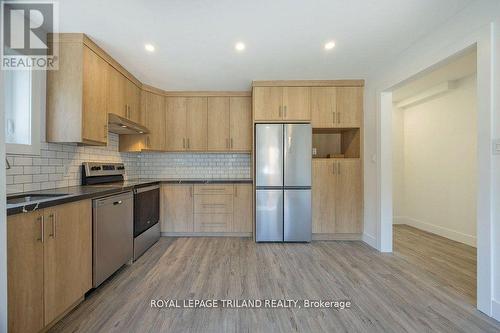 241 Ridout Street S, London, ON - Indoor Photo Showing Kitchen