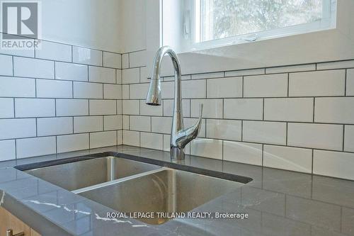 241 Ridout Street S, London, ON - Indoor Photo Showing Kitchen With Double Sink