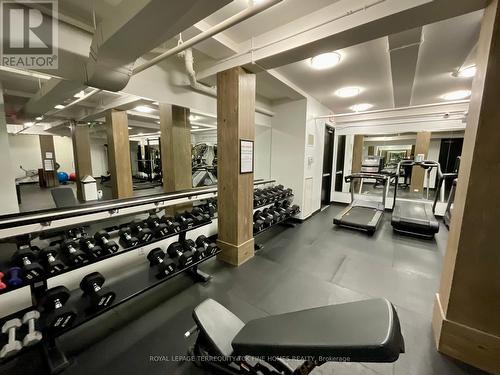 201 - 43 Hanna Avenue, Toronto, ON - Indoor Photo Showing Gym Room