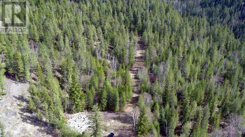 1612 Flume Road, Barriere, BC - Outdoor With View