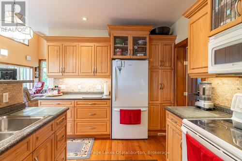 48 Russell Drive, Galway-Cavendish And Harvey, ON - Indoor Photo Showing Kitchen