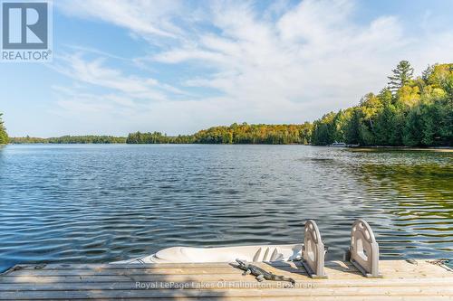 48 Russell Drive, Galway-Cavendish And Harvey, ON - Outdoor With Body Of Water With View