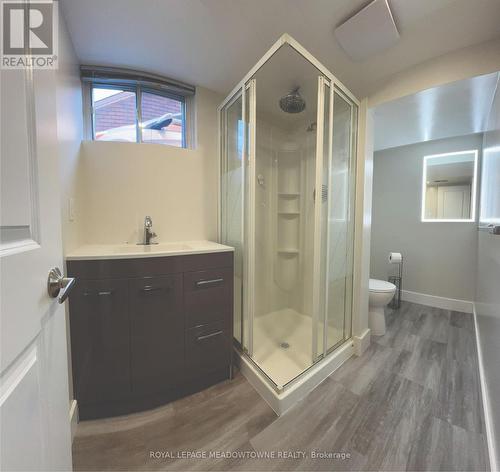 61 Raylawn Crescent, Halton Hills, ON - Indoor Photo Showing Bathroom