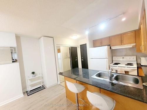 2112-210 Victoria St, Toronto, ON - Indoor Photo Showing Kitchen With Double Sink