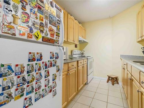 402-755 Hillside Ave, Victoria, BC - Indoor Photo Showing Kitchen