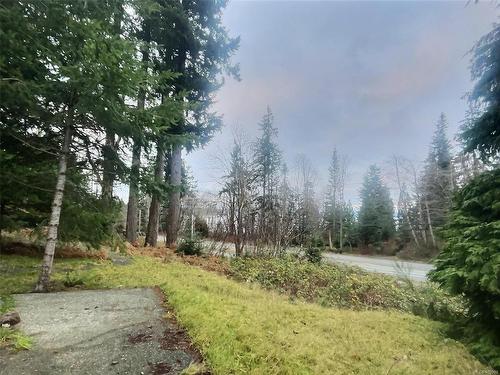 2932 York Rd, Campbell River, BC 