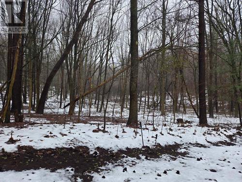 82 Chestnut Court, London, ON - Outdoor With View