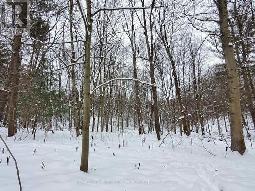 82 Chestnut Court, London, ON - Outdoor With View